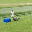 Agility na zahrad�